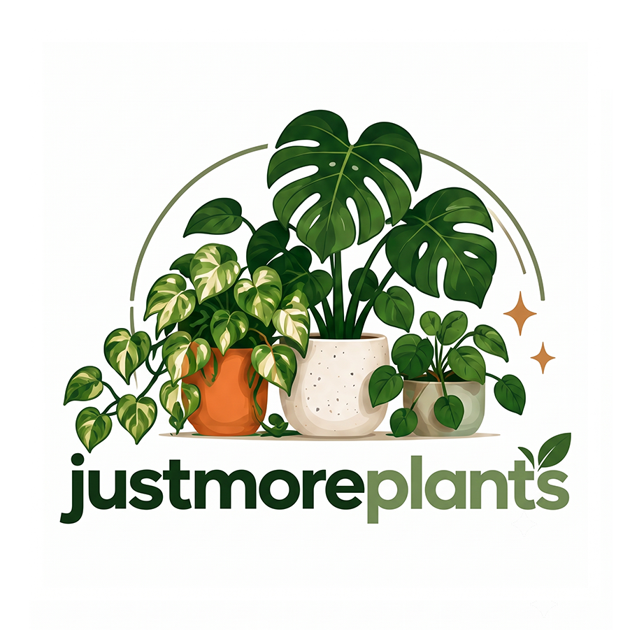Just More Plants – Your Ultimate Plant Paradise